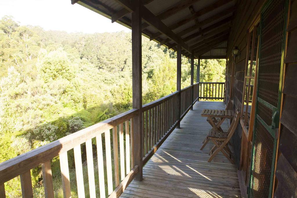 Tall Trees Eco Retreat - Blackwood Cottage Apollo Bay Luaran gambar