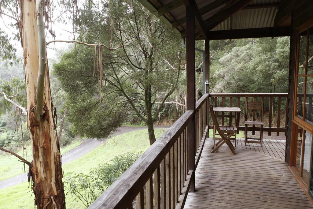 Tall Trees Eco Retreat - Blackwood Cottage Apollo Bay Luaran gambar